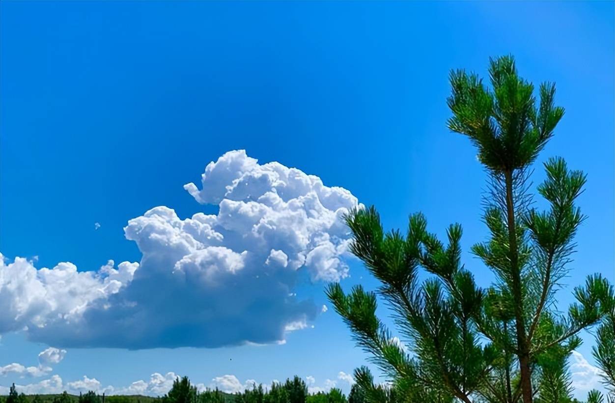 【诗词鉴赏】把白云写入古诗词到底有多美,蓝天白云,处处都是风景!