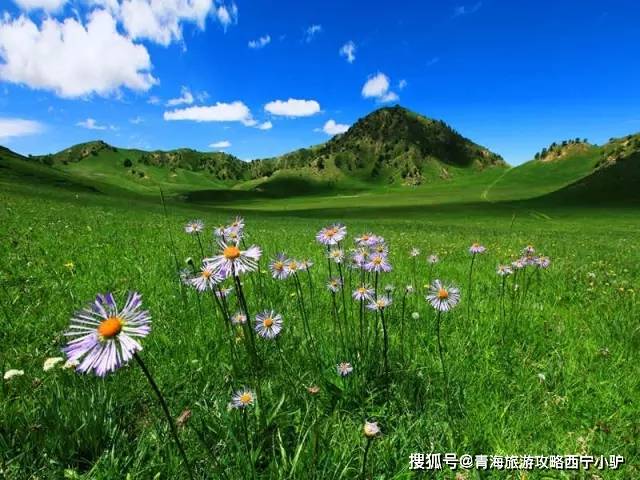 西宁到成都旅游攻略_【西宁到成都有哪些景点】