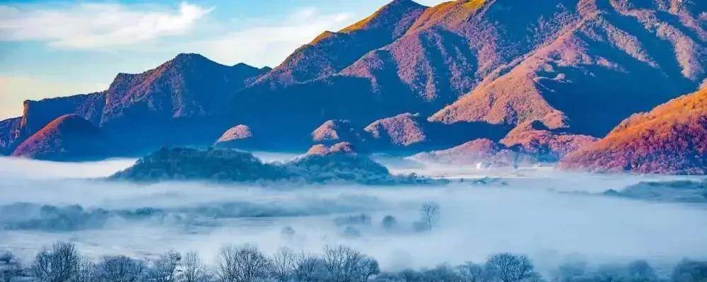 原创
            神农架为何如此神秘，到底蕴藏了多少未解之谜？-神农架不解之谜