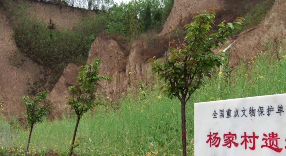 而到了1972年春季,杨家村的村民王双海,王五儿根据生产队长的要求挖坑