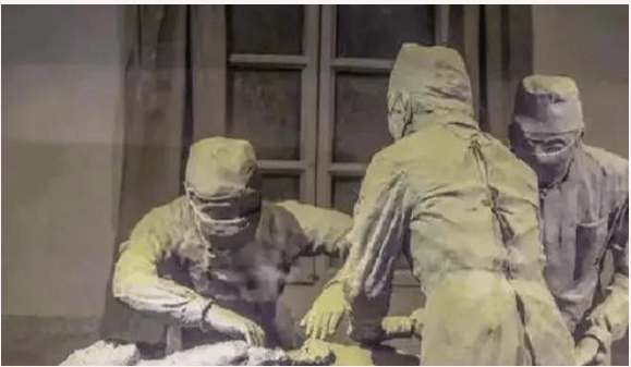 以一己之力终使日本承认细菌战,勇敢的历史守护者,中国女性王选