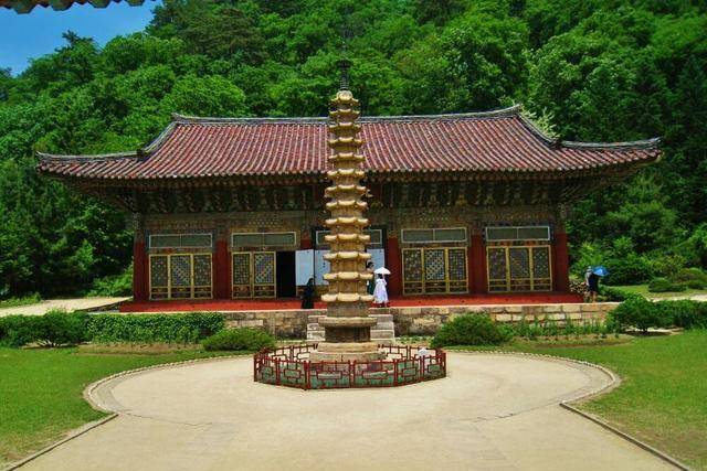 普贤寺"花和尚":出家8年养20多个孩子,陪300多女子去过医院