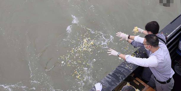 贵州背尸人:以背尸背棺材为生,徒手攀爬悬崖,峭壁上堆满了棺材