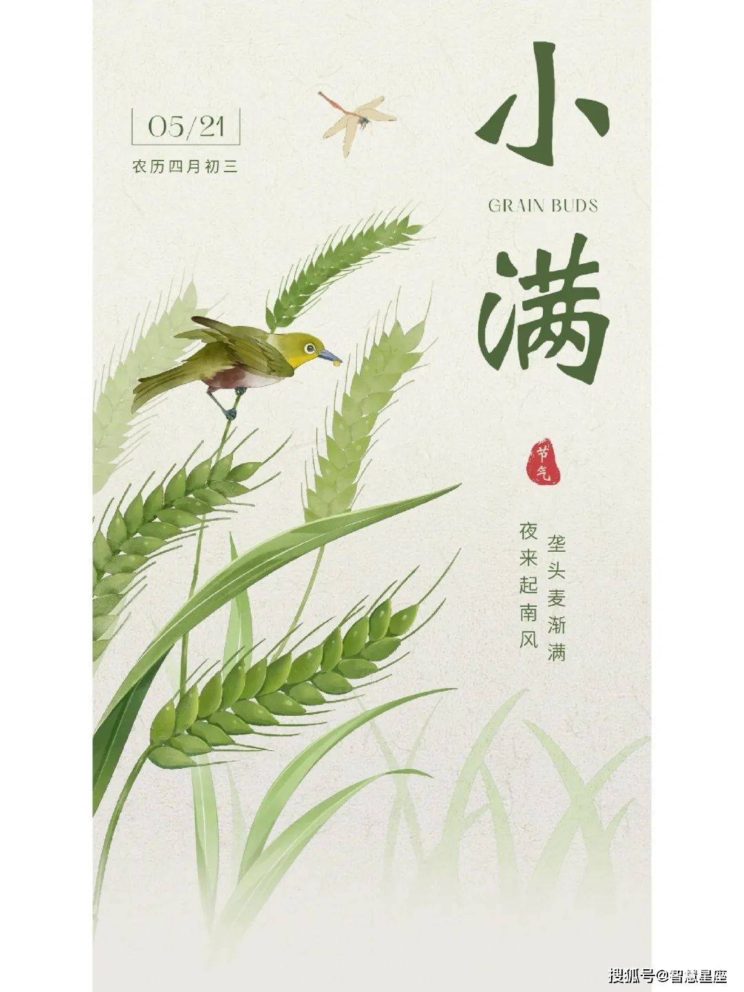 5月20日小满问候语大全,小满问候语温馨简短句子,小满问候动态美图片