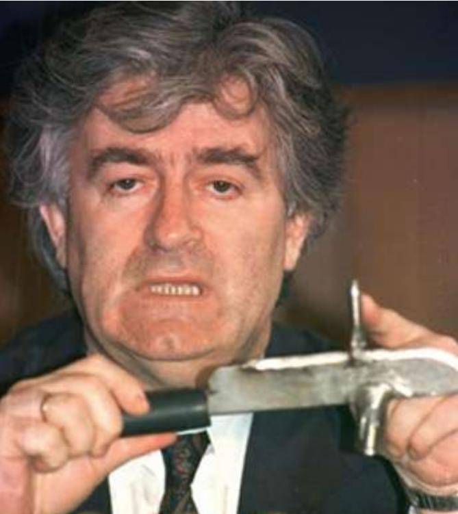 2008年,逃亡13年的卡拉季奇被捕,妻子哭诉:我们与美国有过协议