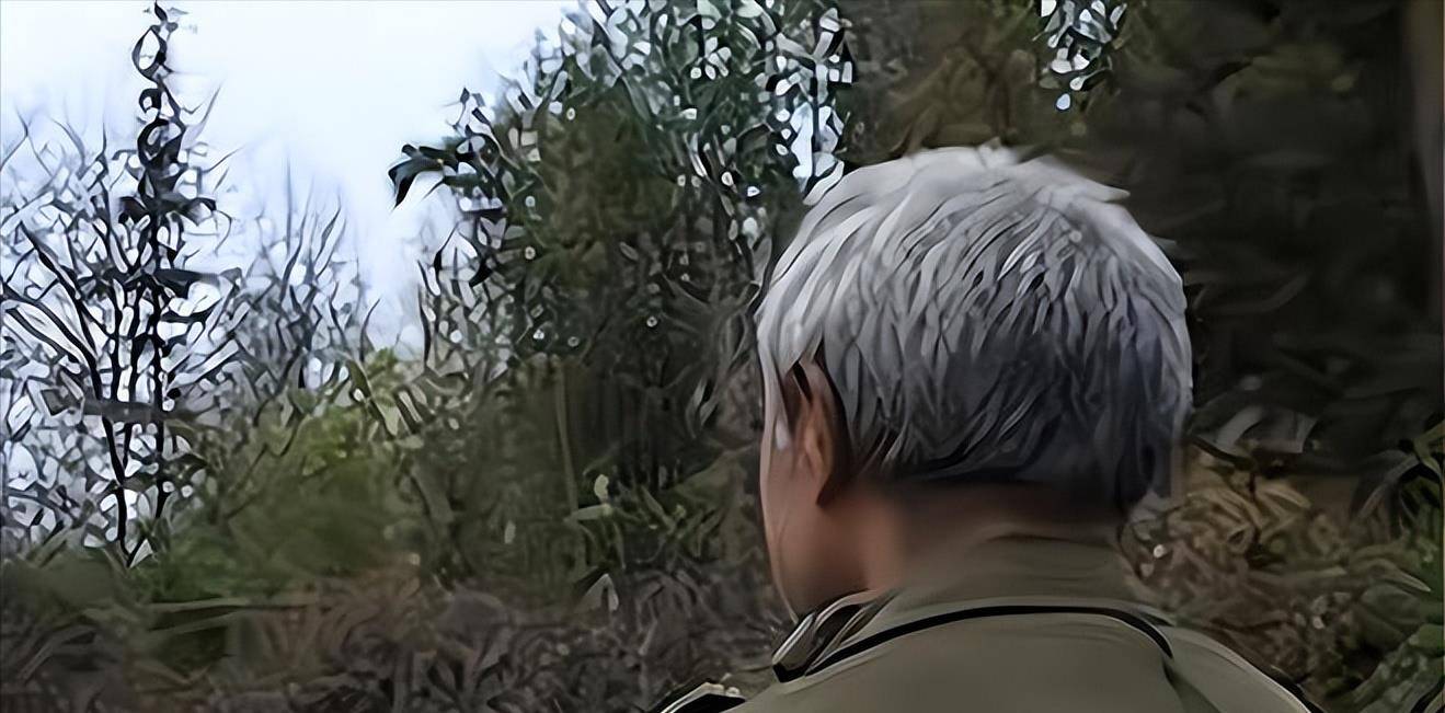 2009年与父亲失散18年的儿子终于回家,哭着说:我妈卖的我