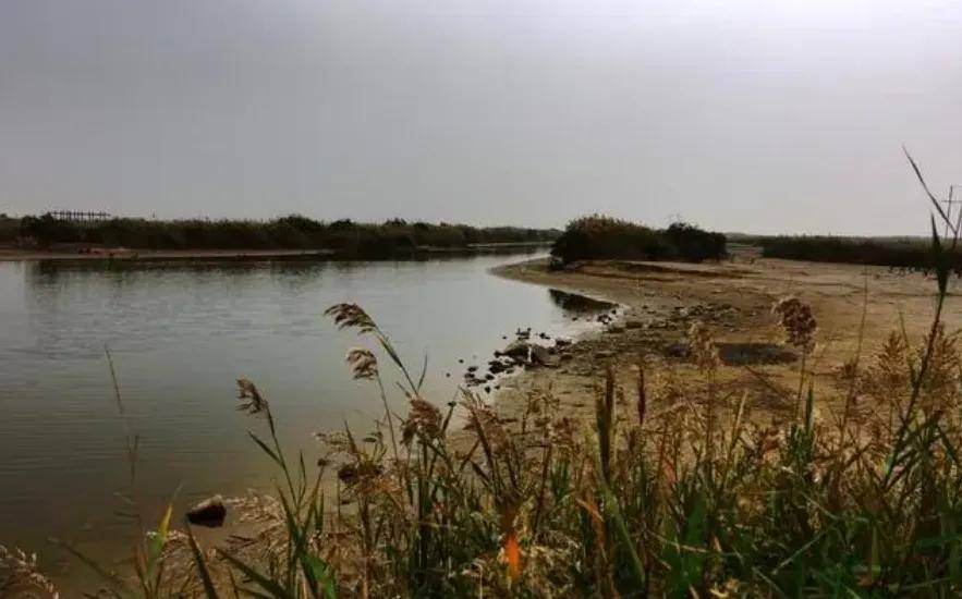内容简介在中原大地上有一个特殊的地区——黄淮海平原,中心是徐州