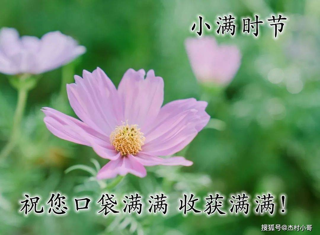 5月20日小满早安正能量最美语录说说句子 小满图片大全带字高清最新版