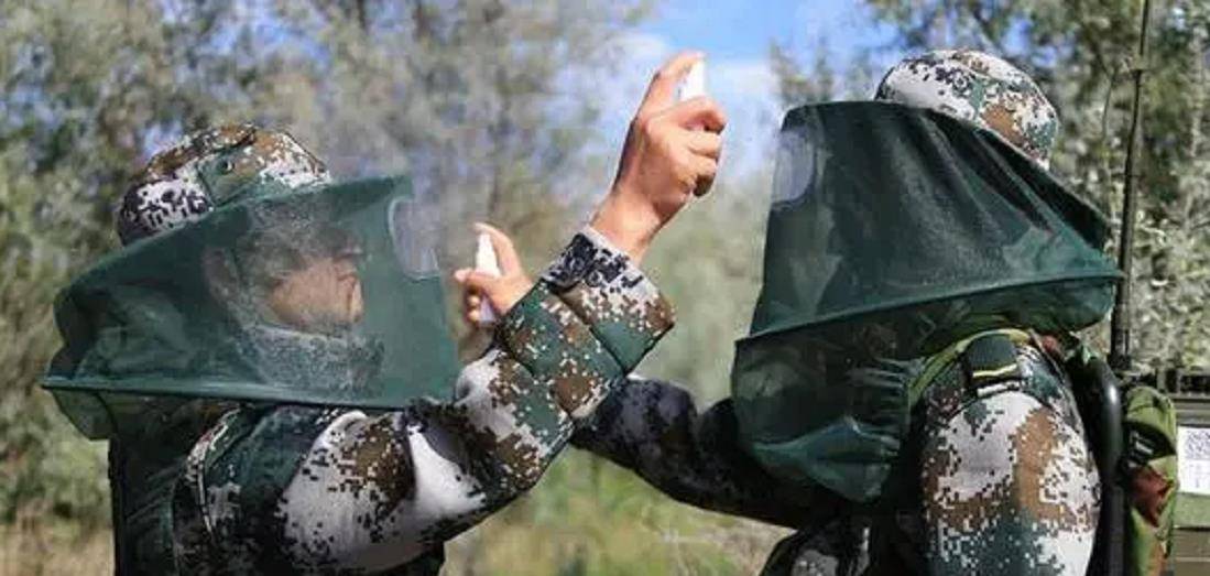 中国北湾边防线到底有多恐怖?40度高温穿棉袄,已牺牲七条军犬了