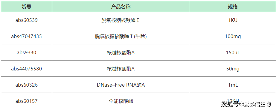 分子生物学实验,"酶"你不行!