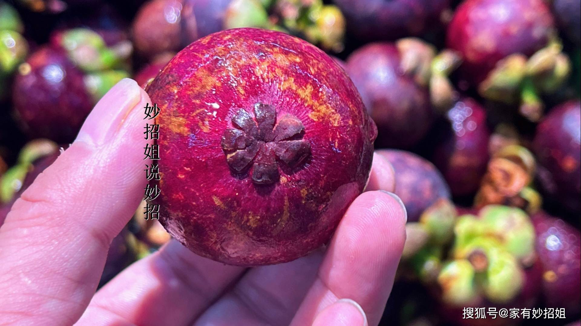 买山竹,软的好还是硬的好?老果农透露:注意这4点,一挑一个准