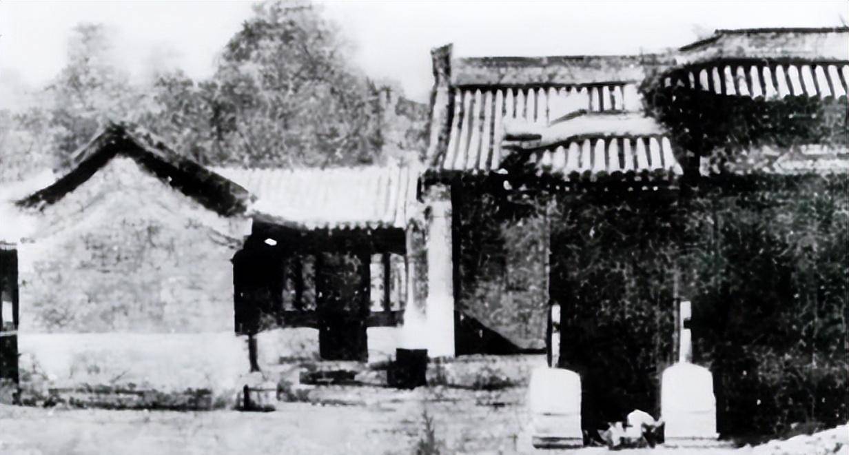 杨氏三姐妹,杨沫和白杨都声名远播;二妹才貌俱佳,因何籍籍无名