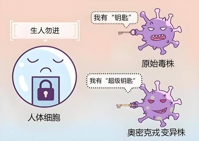 2变异株,新一轮疫情或将到来,多国已蔓延_病毒_美国_病例