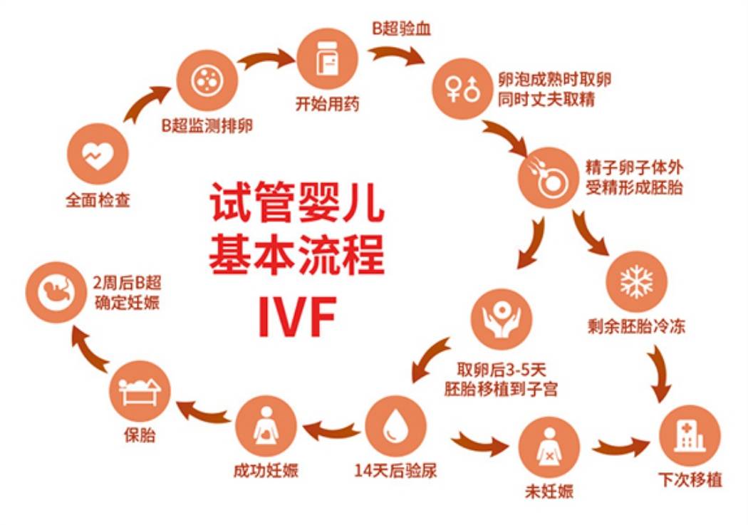 试管移植放入过程图图片