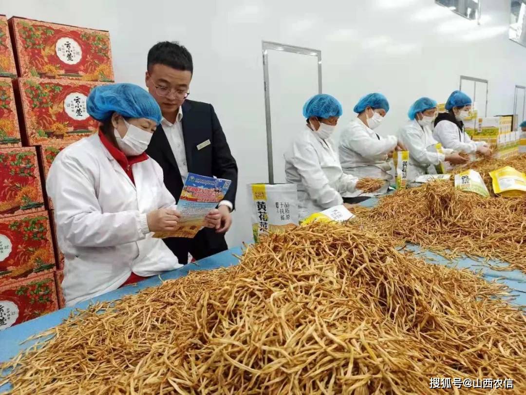 83亿!大同"小黄花"成就百姓"大产业"