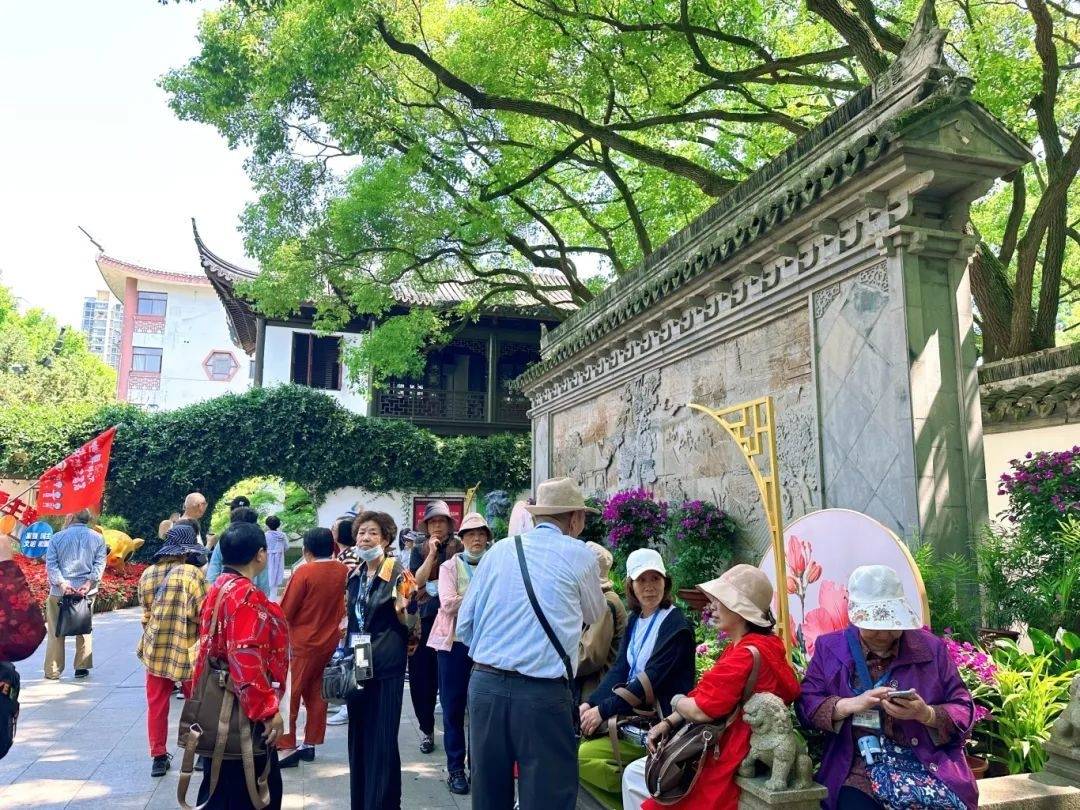 醉白池公园看到,已经有不少游客特意赶来享受一年一度的门票半价福利