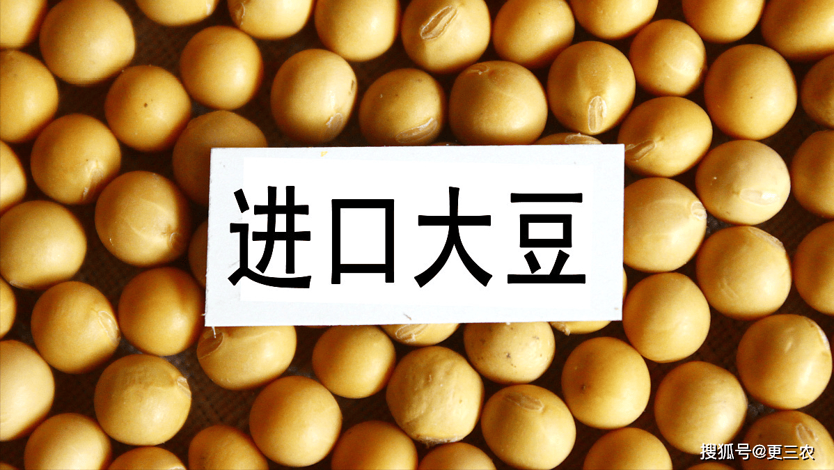 5月22日调整后92号汽油价格,豆粕价格如何?_市场_大豆_原油