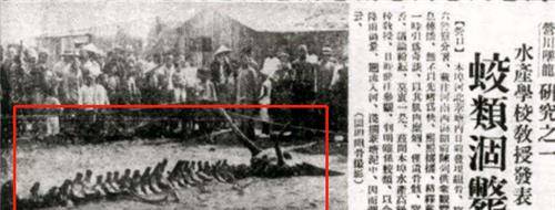 年前古人留下的记载,就连民国时期,都曾发生过有名的"营口坠龙事件"