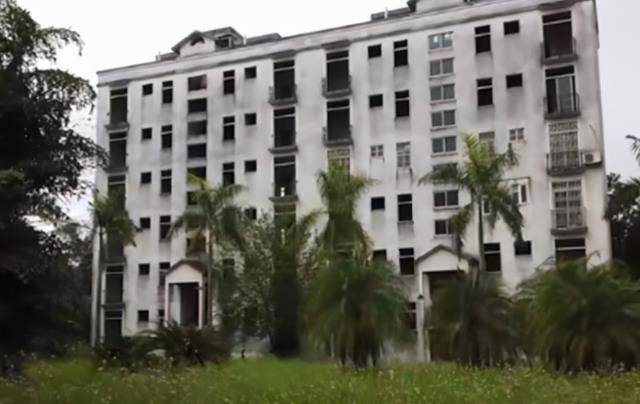 独居广州烂尾楼24年:开荒种菜,路遇毒蛇是常事_阿婆_山庄_马敏庄