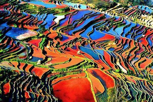 云南最美景点排名榜图片