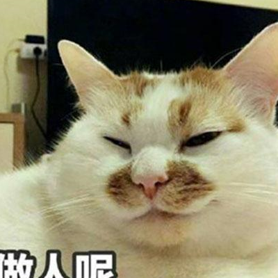 网红猫michael表情包图片