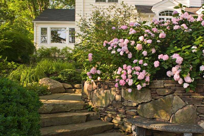 100款私家庭院花园实景图!景观绿化私人花园效果图大全!