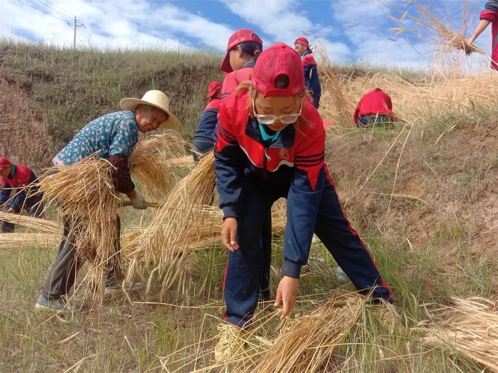 勇敢者的游戏:吃苦夏令营助孩子塑造心智,体验成长大冒险