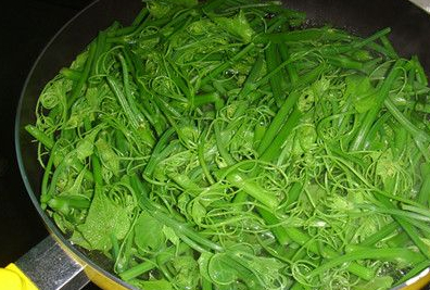 这种野菜城里人不认识,能预防癌细胞,杀菌消炎,农村人都抢着吃_龙须菜