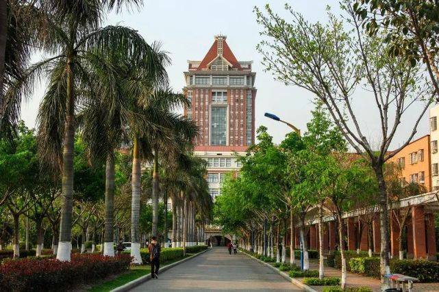 高考升学|2024年集美大学4 0国际本科招生简章