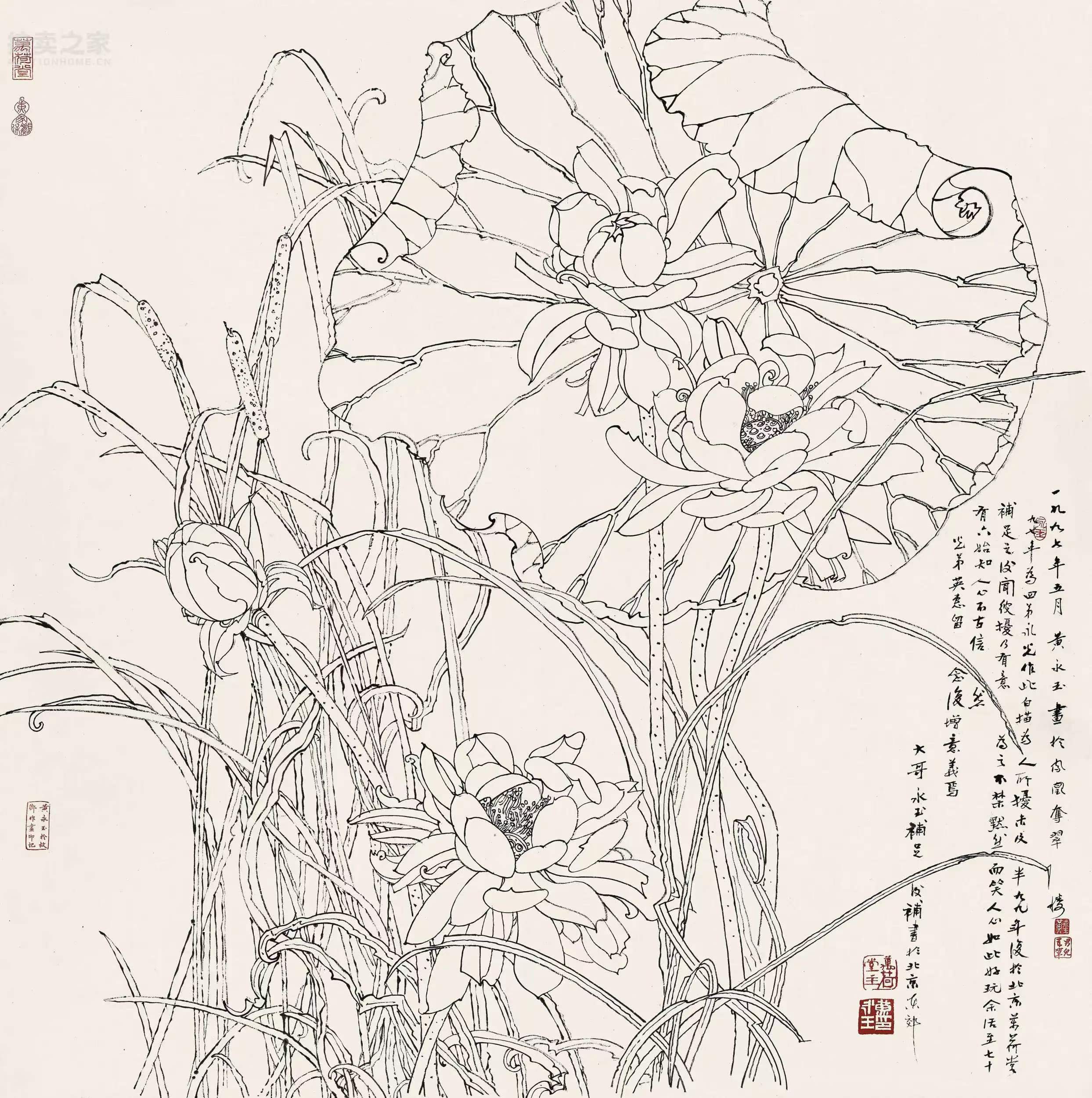 总价_荷花_尺寸