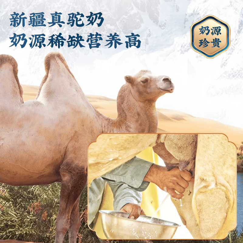 沙漠黄金新疆骆驼奶粉图片