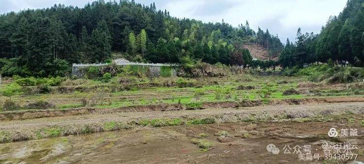 秀篆迁广西恭城宗亲赴"江夏,福建,江西,广东"祭祖寻根