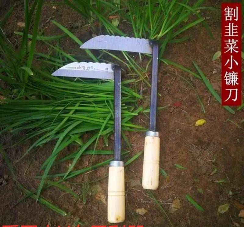 醒醒吧!别在被"爱国大v"和他们的"爱国生意"割韭菜了