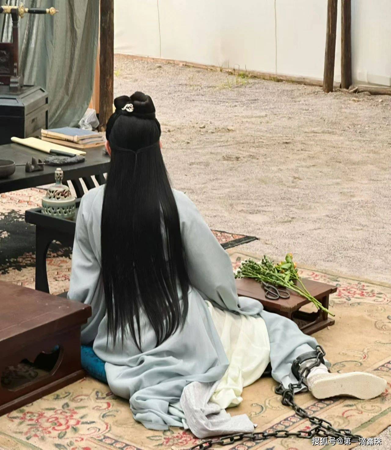 庆余年2:表面恋爱脑实则心机很深沉!沈家大小姐为何死追言冰云