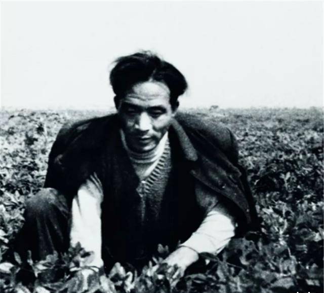 两人相知相守了14年.14年来,焦裕禄走到哪里,徐俊雅默默跟着他一起.