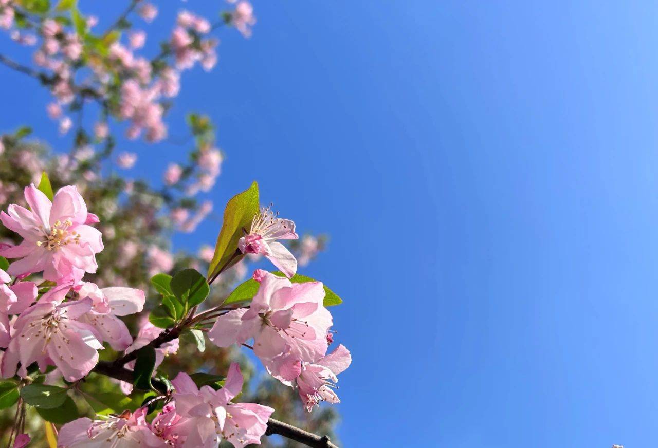 原创            中年女人，幸福感匮乏的主要原因，多半来自3件事-中年女人的幸福与四件事有关