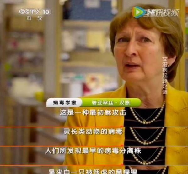 艾滋病毒来源于猩猩,第一个感染的人类究竟对猩猩做了什么