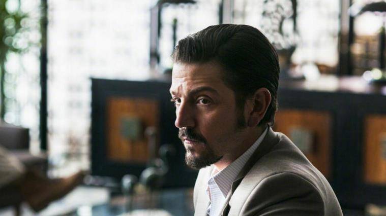 而随着1981年,拉法创造了可以被称为是人类历史上最大的大麻种植场后