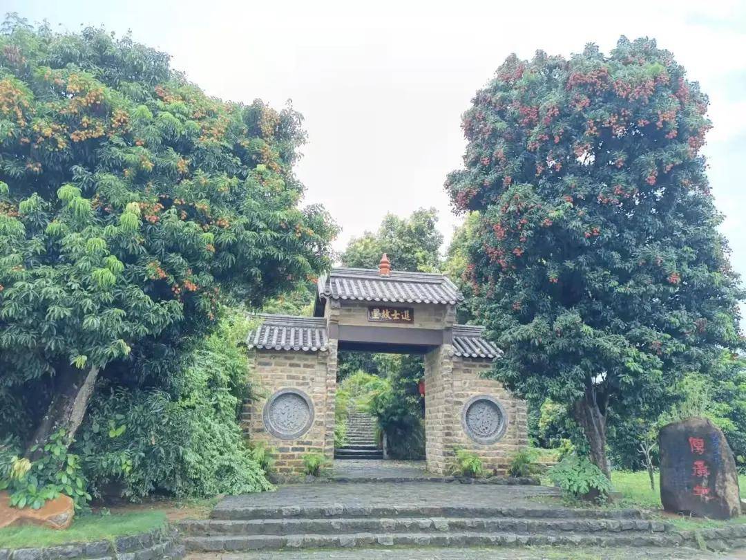 免门票!5月28日,来廉江谢鞋山感受千年荔枝文化魅力吧