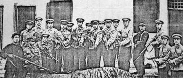 湖南人民打虎记:用机枪扫射后,"百虎围村"三天三夜_老虎_中国_英雄