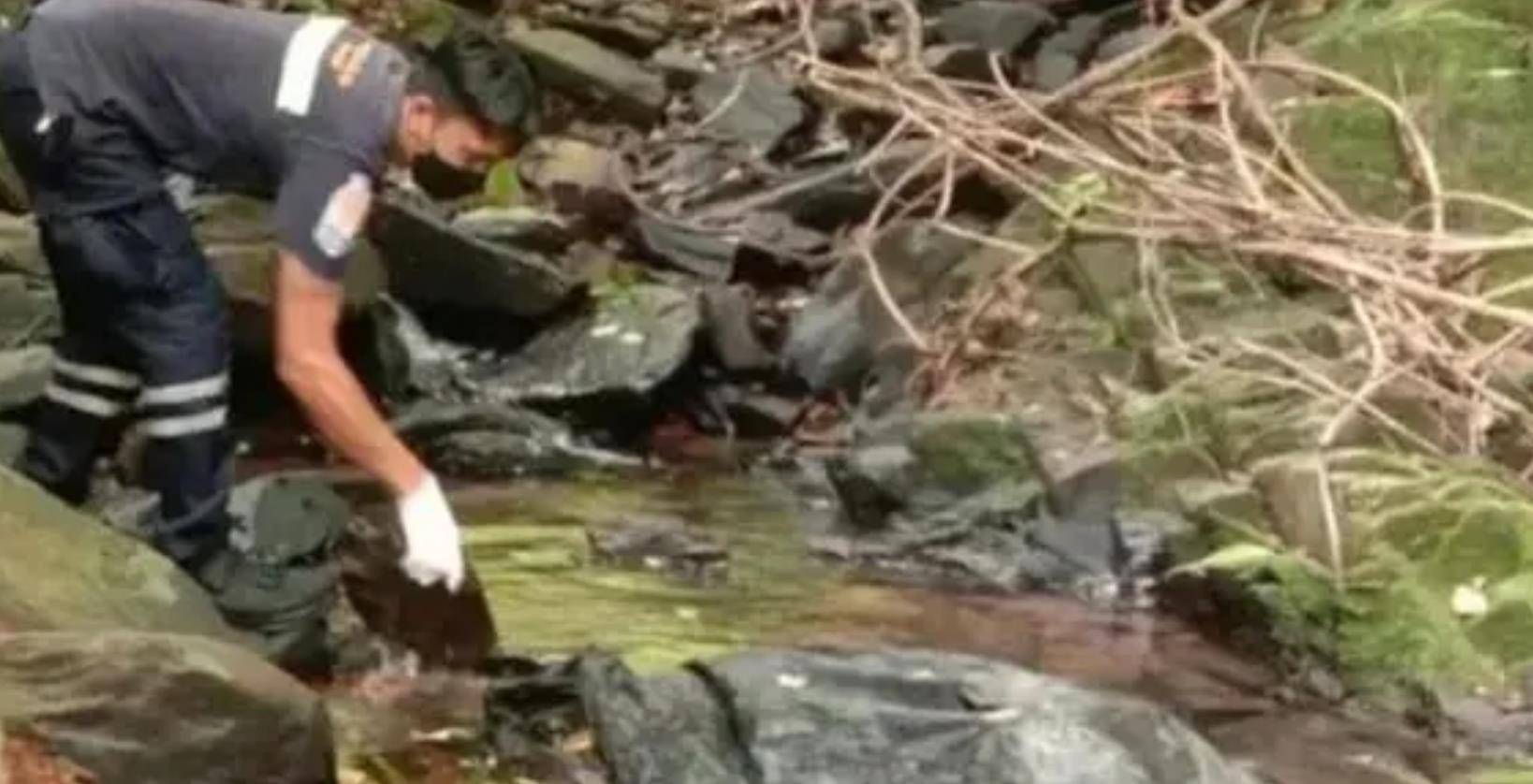 关部门调查清楚被害者的真实身份后,连泰国政府人员都倒吸了一口凉气