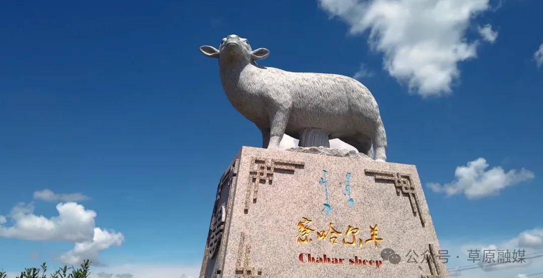 家乡——农推官选拔大赛火热进行中(三)_察哈尔_锡林郭勒盟_内蒙古