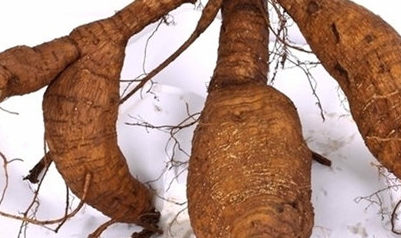 葛根是个宝,不只是丰胸那么简单,但这2种人不宜食用!