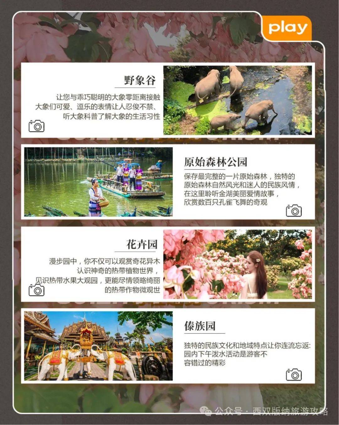 游览【花卉园景区】(电瓶车 40 元/人自理),漫步园中,你不仅可以与奇