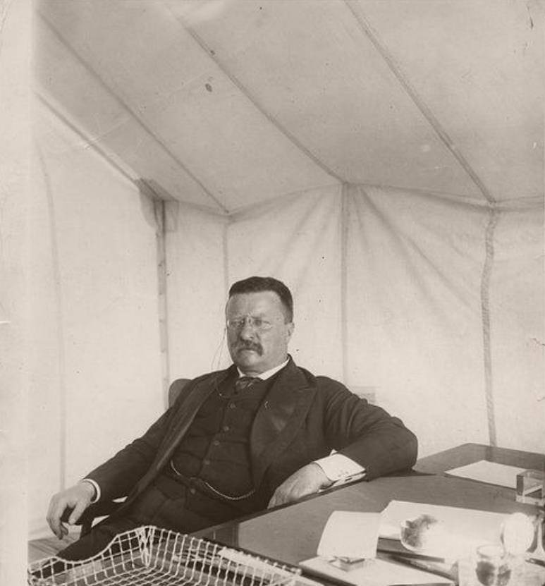 美国人物史评说——西奥多宣誓就职并推动铁路定价管理立法