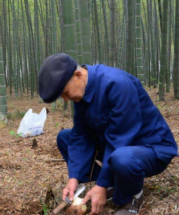 年过半百的老农深山挖笋,土里发出"怪声",一锄头下去挖出了啥