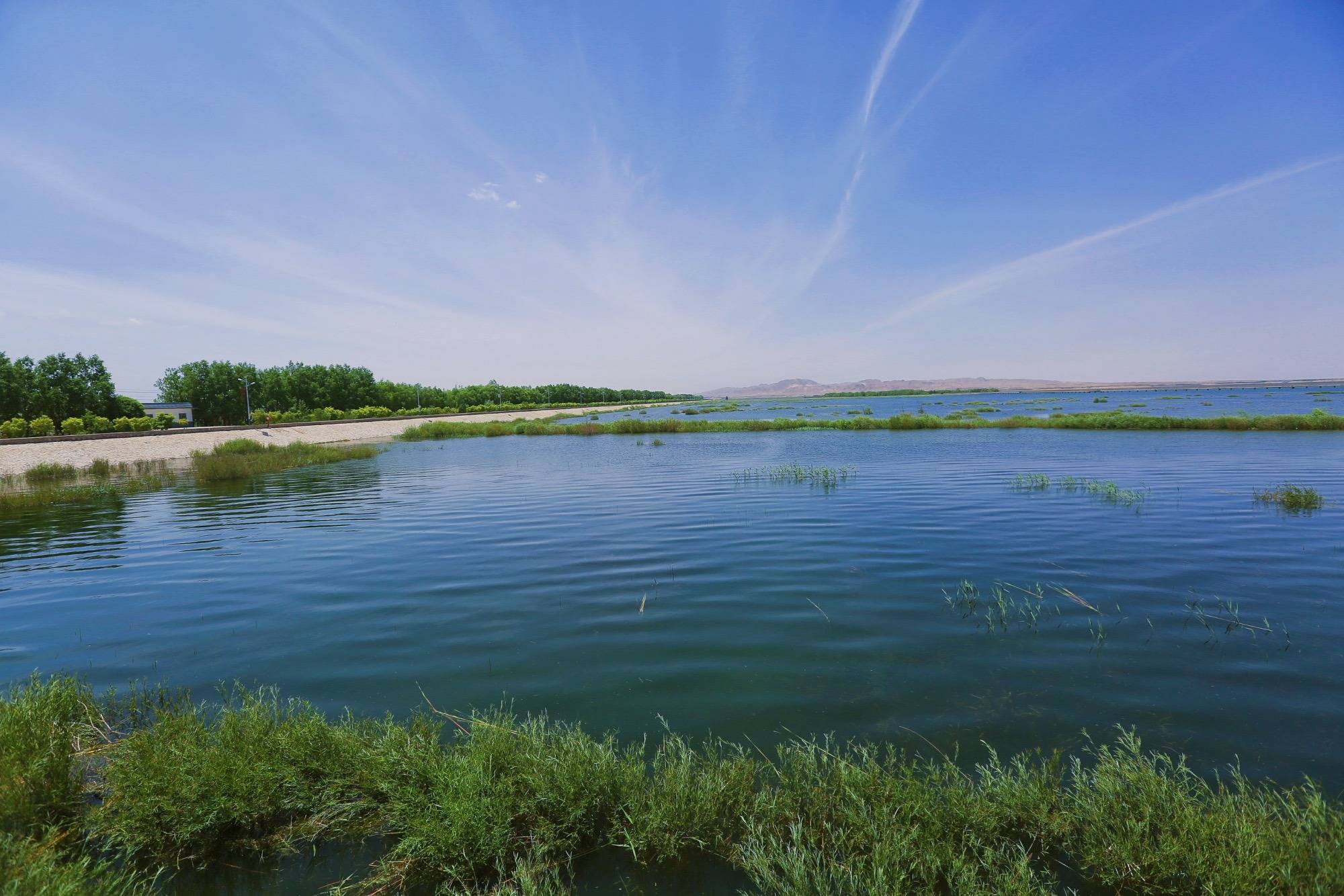 甘肃武威红崖山水库,碧波荡漾,环境优美,是大漠中的水鸟天堂