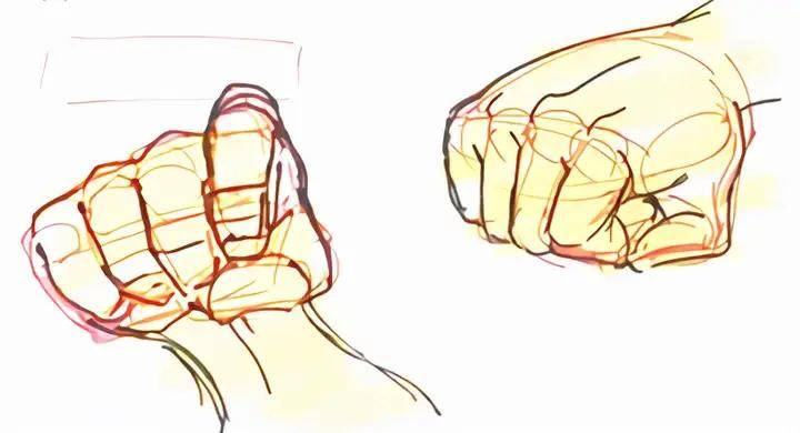 正面看到拳头时关节要像阶梯状排列,手背面要画出缓慢的曲线一边看着