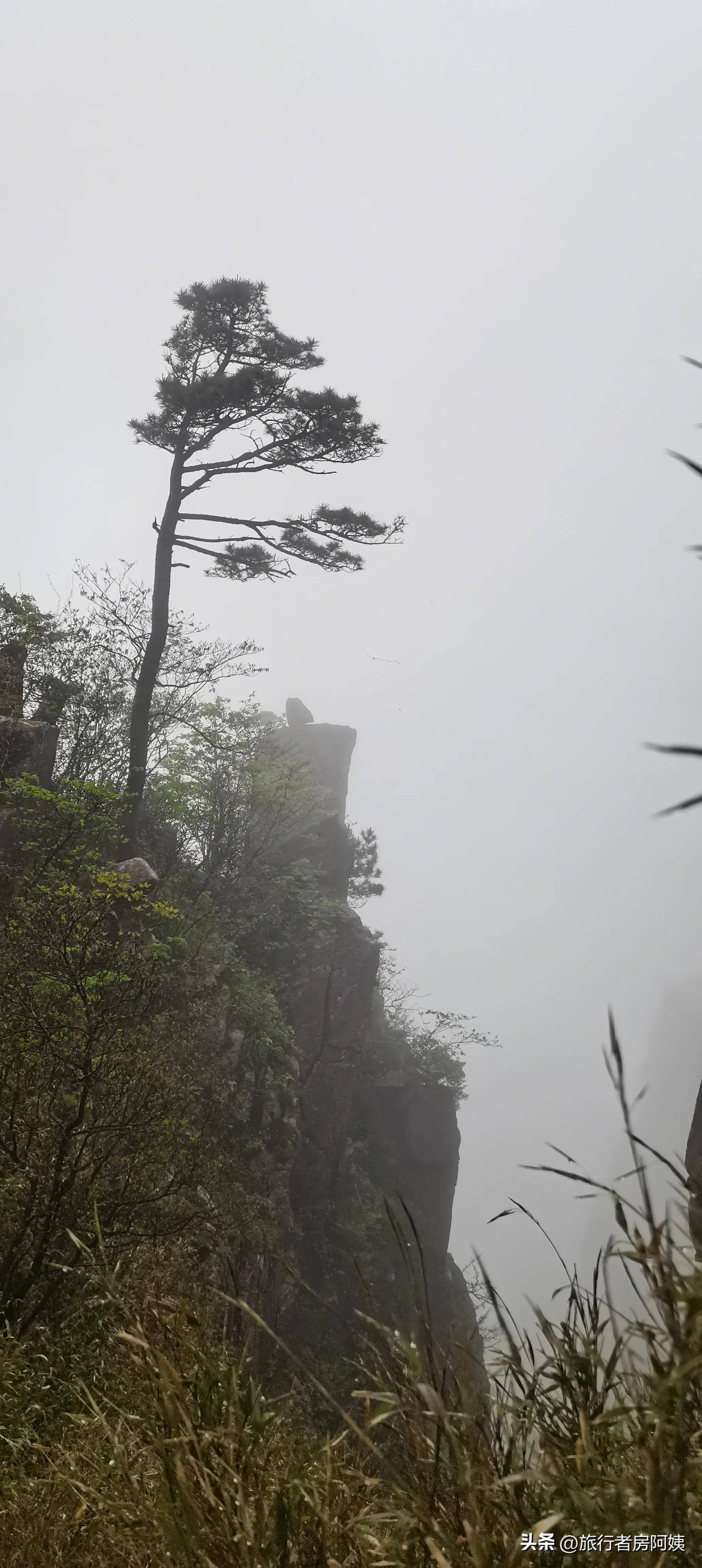 徒步浙西最高山峰——清凉峰