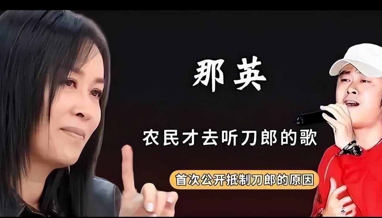 我们看到的那英是假的?